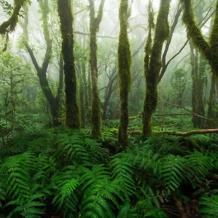 Casa Julia Atico Vistas Playa Teresitas Santa Cruz de Tenerife