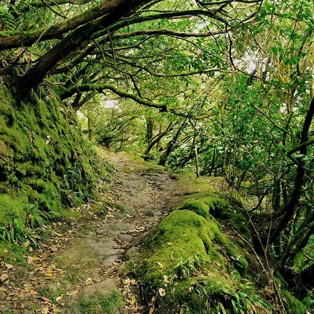 Casa Julia Atico Vistas Playa Teresitas Santa-Cruz de Ténérife