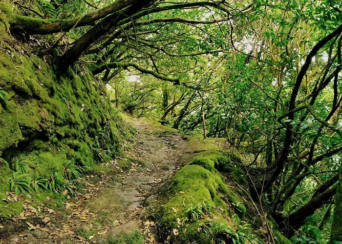 Casa Julia Atico Vistas Playa Teresitas Santa Cruz de Tenerife