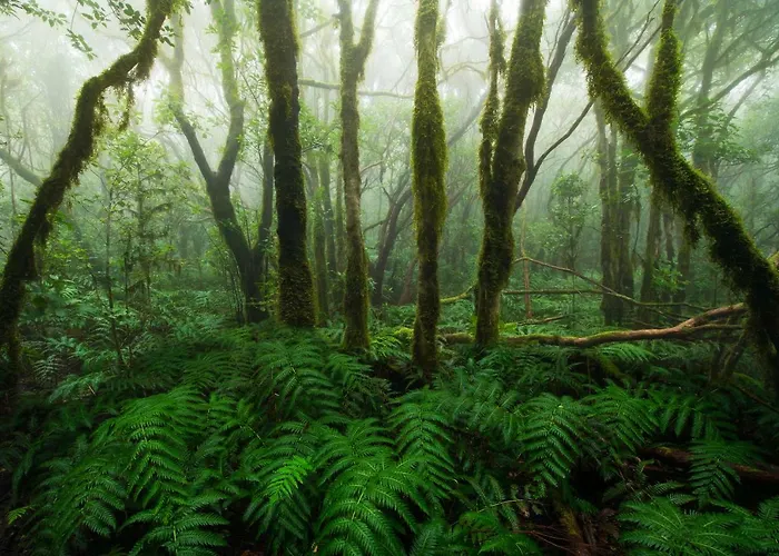Casa Julia Atico Vistas Playa Teresitas Santa Cruz de Tenerife